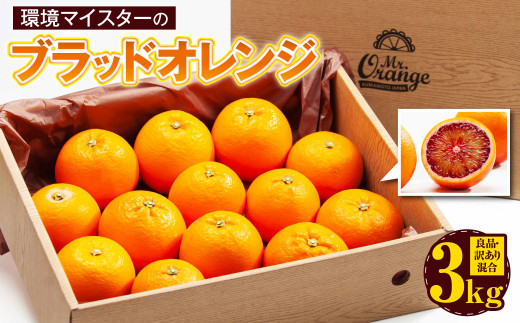 yF{sz}CX^[̃ubhIW ǕiE󂠂荬 3kg y2026N2{`3{\z IW  ʕ t[c ubhIW