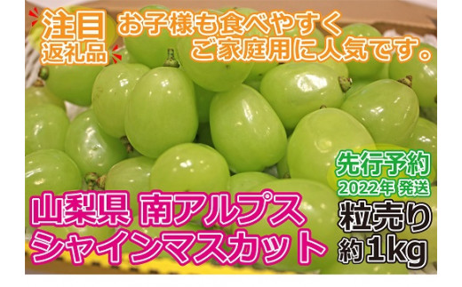 1-1-148【令和4年8月下旬から10月上旬配送予定】【山梨県南アルプス市