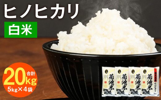 熊本県菊池産 ヒノヒカリ 5kg×4袋 計20kg 精米 お米 白米 令和5年産