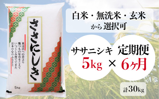 定期便/6ヶ月】進さんのお米「ササニシキ 5kg」×6回(計30kg)【白米・無 