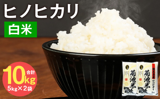 熊本県菊池産 ヒノヒカリ 5kg×2袋 計10kg 精米 お米 白米 令和4 熊本県菊池産 ヒノヒカリ 5kg×2袋 計10kg 精米 お米 白米 令和4