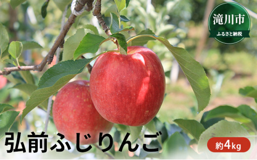 りんご様専用【7/21必着】-