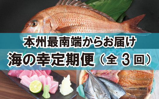 ふるさと納税 【全3回】魚鶴厳選！人気のお魚集合定期便（さば・銀鮭