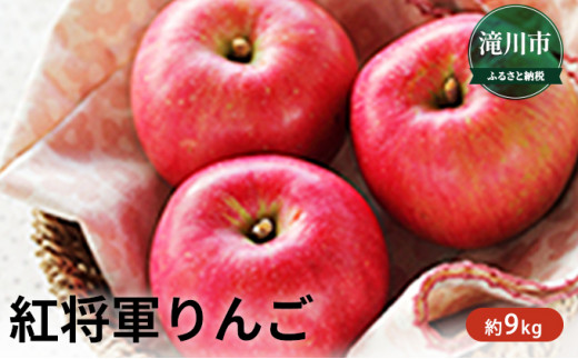 北海道滝川産紅将軍りんご約9kg＜2023年10月下旬～順次出荷＞ - 北海道