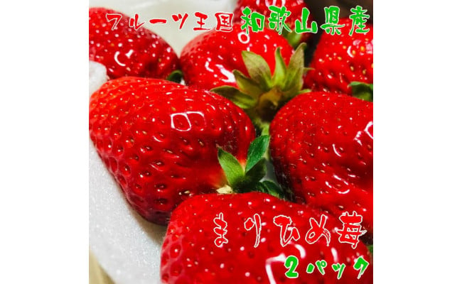 濃厚完熟まりひめいちご ２パック（A-02）【2023年1月下旬以降発送】 - 和歌山県御坊市｜ふるさとチョイス - ふるさと納税サイト