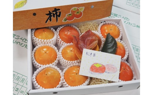 yޗǌsz59.sY@xL`@RkyHÉz