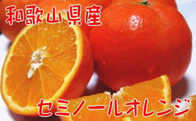 【和歌山県那智勝浦町】【春の美味】【農家直送】爽快カンキツ　　　セミノールオレンジ（ご家庭用）　約４kg