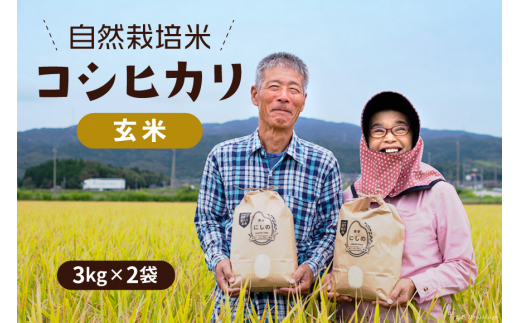 サンプル写真