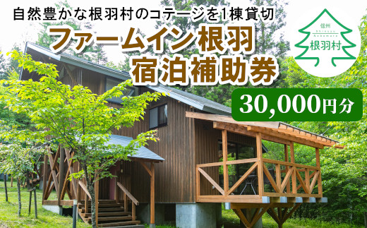 一棟貸し！大人気宿泊 ファームイン根羽 宿泊補助券 (30,000円分) コテージ 旅行 - 長野県根羽村｜ふるさとチョイス - ふるさと納税サイト