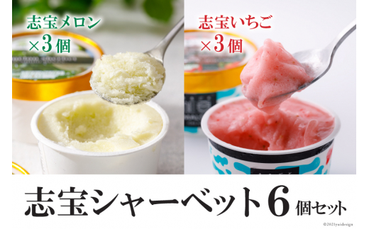 サンプル写真