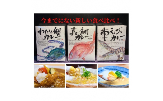 武豊町×半田市共通返礼品＞三種のカレーを食べ比べ!「海の幸 三種食べ