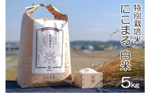 【兵庫県加西市】令和4年産 特別栽培米 にこまる 白米5kg