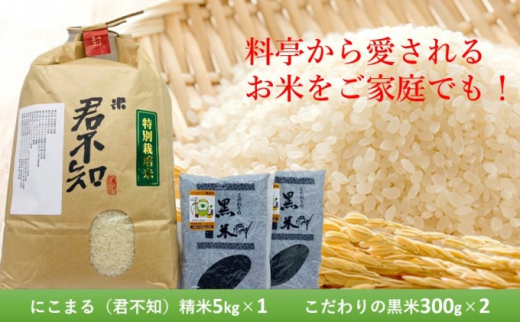 お米 2種セット にこまる（君不知）精米 5kg×1 黒米 300g×2 数量限定