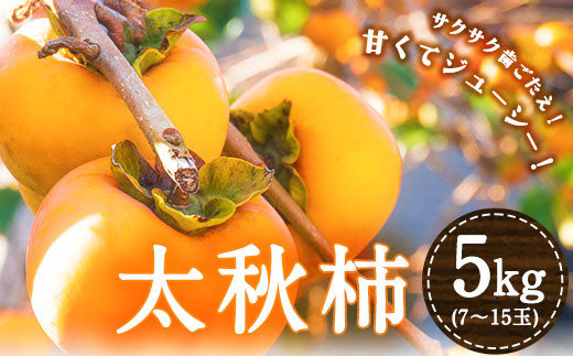 太秋柿5キロ 産直太秋柿(大玉)約2.5kg 5玉～8玉 緑伸園の夕焼け太秋 | 熊本県玉