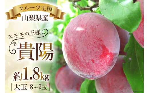 素敵でユニークな 山梨県南アルプス市 もも スモモ さくらんぼ 山梨県南アルプス市 1 1 1 1 令和4年7月下旬 8月上旬発送予定 すもも 貴陽 約1 8kg ふるさと納税 フルーツ Aptora Com