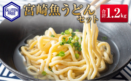 ◇宮崎魚うどんセット (合計1.2kg) - 宮崎県｜ふるさとチョイス