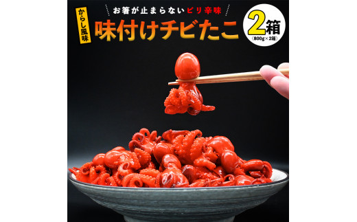 味付けチビたこ からし風味 800ｇ 2箱 やまさん商店 たこ 蛸 ピリ辛 