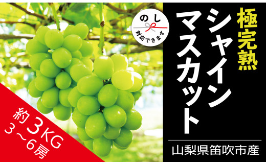 2023年配送】☆絶品☆ シャインマスカット 3-6房約3.0kg - 山梨県笛吹