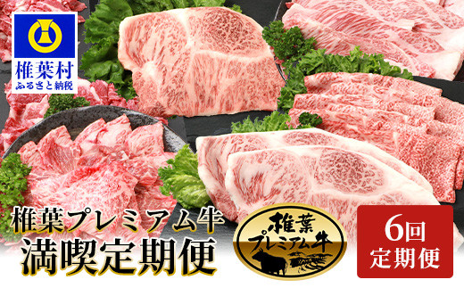 【定期便6回】総重量3.1kg！椎葉プレミアム牛満喫定期便≪ステーキ・すき焼き・しゃぶしゃぶ・焼き肉≫