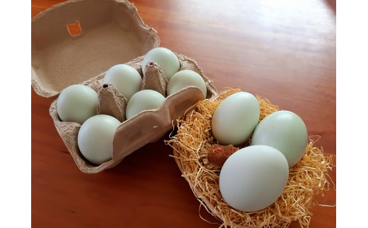 【茨城県小美玉市】３７−Ｆ　平飼い幸せの青いアローカナの卵（24個×定期便12回）