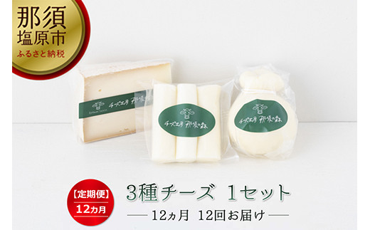 【チーズ工房那須の森】【定期便12ヵ月】那須の森3種チーズおまかせセット（カチョカバロ＋フィラータスティック＋おまかせチーズ1種） 毎月届く 12ヵ月  12回コース【 栃木県 那須塩原市 】