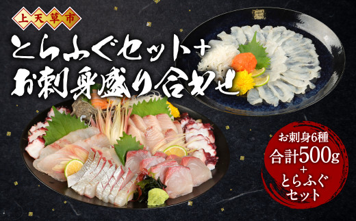 上天草産 とらふぐセット 旬の鮮魚 お刺身 盛り合わせ 6種 合計500g