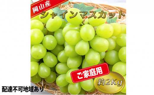シャインマスカット 家庭用の人気商品・通販・価格比較 - 価格.com