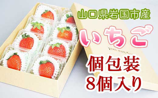 山口県岩国産 いちご 個包装 8個入り 山口県岩国市 ふるさとチョイス ふるさと納税サイト