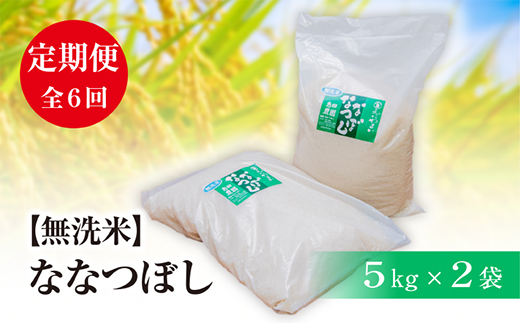定期便』【無洗米】北海道恵庭産 たつや自慢の米 ななつぼし5kg×2袋 全 