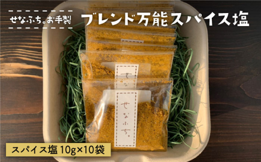 ＜テレビで紹介された人気カレー店＞ブレンド万能スパイス塩 10袋