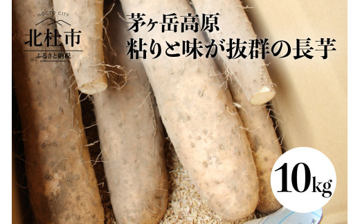 茅ヶ岳高原 粘りと味が抜群長芋 10 箱 山梨県北杜市 ふるさとチョイス ふるさと納税サイト