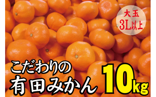 ＼光センサー選別／【農家直送】こだわりの有田みかん 約10kg 大玉サイズ 3L以上 サイズ混合 有機質肥料100%  ※2021年12月初旬～1月中旬に順次発送(お届け日指定不可)