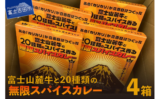 富士山麓牛と種類の無限スパイスカレー 4箱セット 山梨県富士吉田市 ふるさと納税 ふるさとチョイス