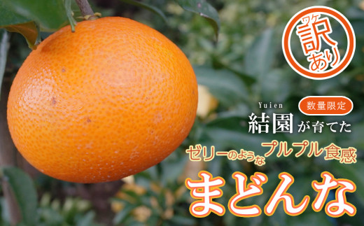 訳あり まどんな 愛果28号 約4kg サイズが選べる 小玉 中玉 大玉