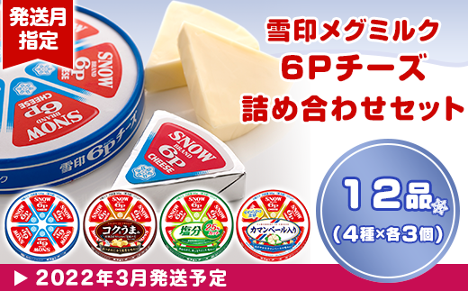 【茨城県阿見町】18-06雪印メグミルク・6Pチーズ詰め合わせセット（12品）【2022年3月発送】