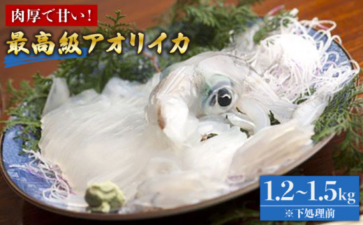 アオリイカ イカ タコの人気商品 通販 価格比較 価格 Com アオリイカ イカ タコの人気商品 通販 価格比較 価格 Com