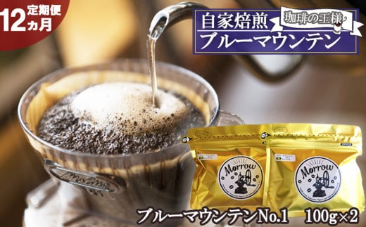 定期便】自家焙煎 “コーヒーの王様” ブルーマウンテン（ストレート）12