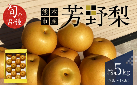 【2023年8月下旬発送開始】熊本市産 芳野梨 旬の品種 5kg なし ナシ 梨 果物 フルーツ