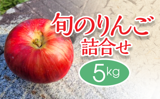 訳あり】旬の詰め合わせりんご 5㎏ 数量限定 林檎 リンゴ 家庭用 一関