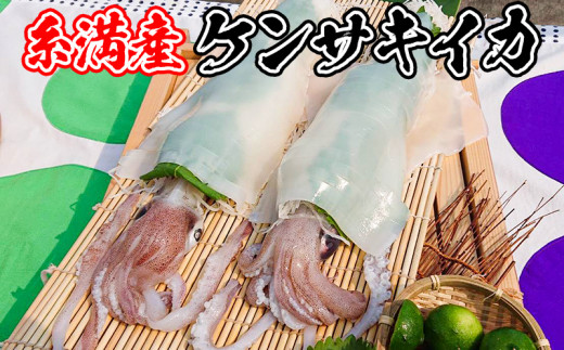 産地直送】【漁師まちの鮮魚店厳選】おまかせ鮮魚セット（約2kg