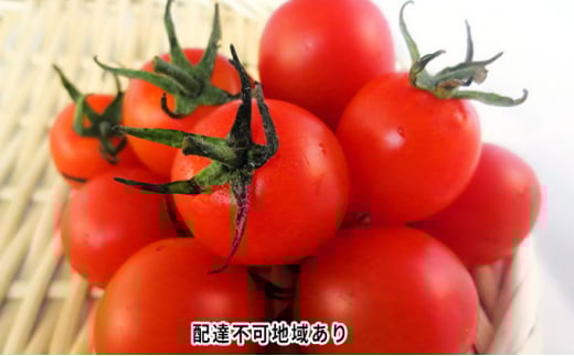 yRsz[5615-0291] 2026N s\ ~jg}g o 2kg R sY Ƃ܂ L@ 