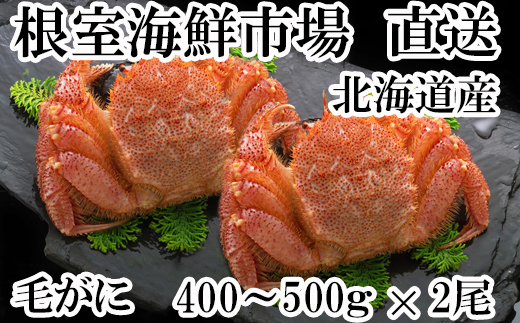 B-14038 ＜生食可＞花咲ガニ棒肉ポーション1kg(10本～20本) - 北海道 