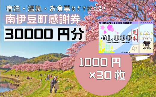 南伊豆町ふるさと寄附感謝券30枚【 伊豆 宿泊 旅行 宿 旅館 観光 グルメ 食事 アクティビティ 南伊豆 クーポン 宿泊券 ヒリゾ浜 SUP  カヤック 桜 静岡 】 <BE-13> - 静岡県南伊豆町｜ふるさとチョイス - ふるさと納税サイト