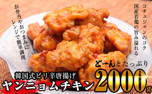 韓国式ピリ辛タレ漬け唐揚げ ヤンニョムチキン 2kg Se1005 67 福岡県須恵町 ふるさと納税 ふるさとチョイス