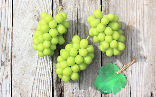 y쌧⑺zy2026NYz 󂠂VC}XJbg 3.2kgi6~11[j ʕ Ԃǂ t[c ʕ