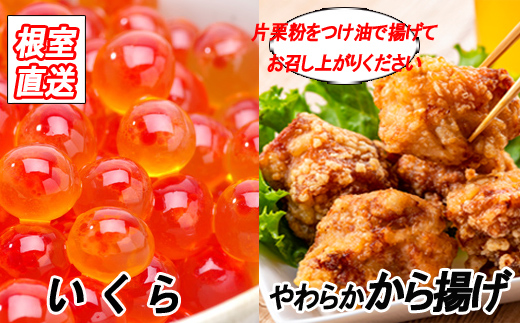 ふるさと納税 根室市 味付若鶏やわらか唐揚げ ザンギ 3p いくら醤油漬け1p A から揚げ Schurmannconstrutora Com Br