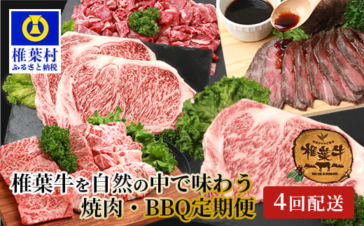 定期便4回】総重量2.4kg！椎葉牛 大自然の中で味わう焼肉・BBQ定期便