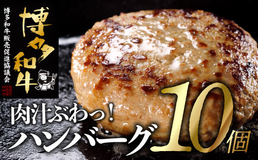 yV{zA1464.育˔ano[OPO