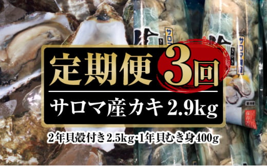 カキ 殻付き 2年貝 約2.8kg（28個前後） 佐呂間産 ［3回定期便］【丸