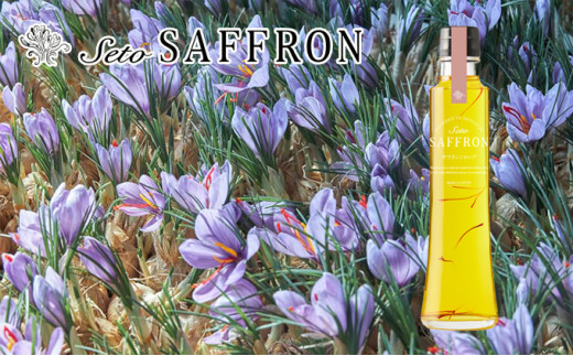 y쌧sz[4631-2322]ySeto SAFFRON SYRUPz˃TtVbvi270gj